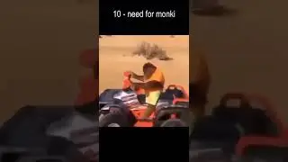 top 10 monki video