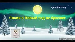 Аудиорассказ "СВОИХ  В  НОВЫЙ  ГОД  НЕ  БРОСАЮТ..."⚪Н.Павлинова