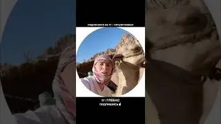 он чувствует?