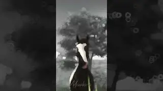 Меня поперло на шортусы😂❤️