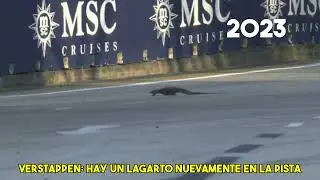Max Verstappen - ¡Hay un lagarto en la pista otra vez! - GP de Singapur 2023