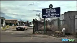 How to make your school more environmentally friendly: gathering compostable supplies
