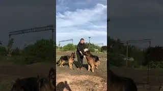 Ох и жулики мои❤️‍🔥❤️‍🔥❤️‍🔥. Обожаю их🥰🥰🥰