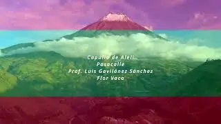Capullo de Aleli