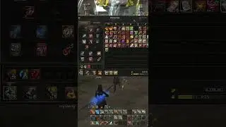Это был знак свыше, история Закена и Белефа | Lineage 2 essence