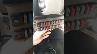 #газелистка33