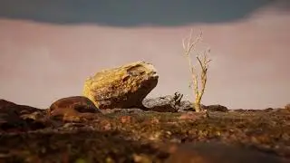 Sun and Withered Tree — Virtual Walk Prototype