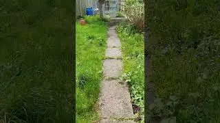 Hunting for King Kenny