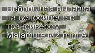 RC3KR/QRP DDC/DUC 14bit трансивер Malamute MII mini АТ с автоматическим тюнером на бистабильных реле