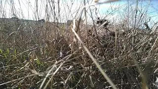 Молитва Аллаху