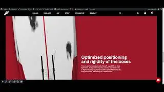 Whiteird 6'6 & 6'8 design with Elementor and GSAP smooth scrolling effect