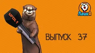 Новости от нашего специального корреспондента из челябинского зоопарка выдры Вани