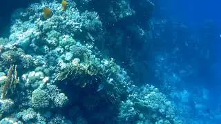 Шарм эль шейх пляж El Fanar