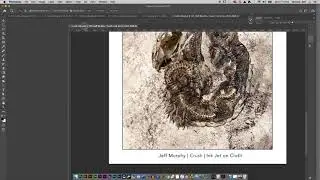 Making a PDF from Photoshop