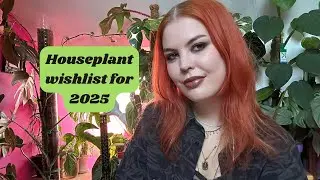 My houseplant wishlist for 2025🌿
