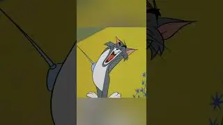 Tom y Jerry en Latino | ¡Es hora de luchar! ⚔️ | 