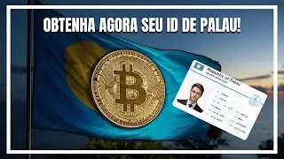 Tudo sobre a Residência Digital de Palau! A saída para quem quer ter cripto em outra jurisdição!