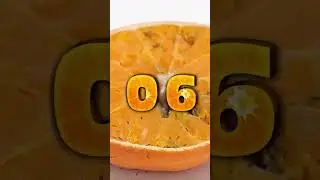 Ants vs Orange 