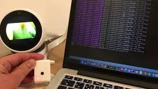 echo spot with raspberry pi streaming