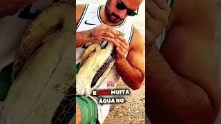 This Turtle Was Drowning In The Sea! But This Guy Decided To Help It 🐢❤️ 