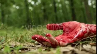 Bloody Hand - Stock Footage | VideoHive 16180365