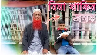 বিষা খাকি কবুতর
