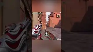Almost All-Stinger Ace