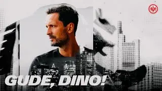 Gude, Dino! I Toppmöller wird neuer Cheftrainer bei Eintracht Frankfurt