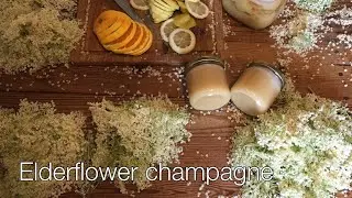 How To Make Elderflower Champagne
