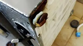 How to destroy a good machine 🤔 New machine installed a flooded area,replaced the adjustable feet