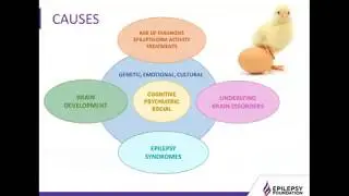 Beyond Seizures and Comorbidities in Childhood Epilepsy