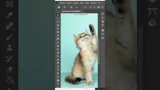 Mejora los bordes detallados en Photoshop