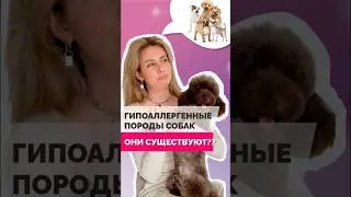 Гипоаллергенные породы собак уже на канале полный ролик!