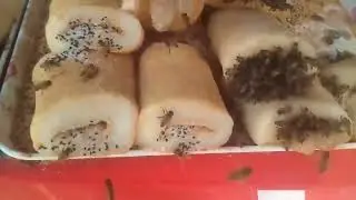ÖLDÜREN SOKAK YEMEĞİ
