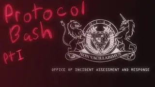 Protocol Bash Part 1 (Analyzing The Magnus Protocol)