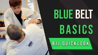 BJJ Blue Belt Basics