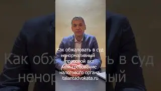 Как обжаловать в Суд ненормативный правовой акт или требование налогового органа