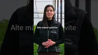 Cum Prevenim Arsurile Solare la Legume? - Marcoser