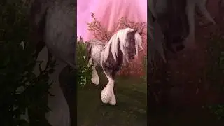 Meet Fluffy the cutie Cob || SSO TikTok StarStable video
