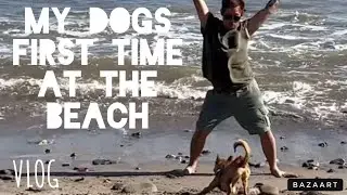 My dog Duke's 1st time at Malibu Beach (VLOG)