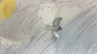 David, Luke, Stone, Jack - Bird Journey