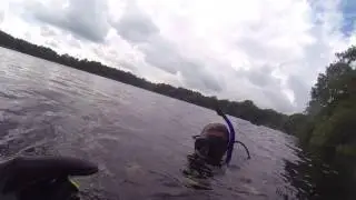 Diving at Ruinerwold - Part 1 - NNDF Waterplant Cages