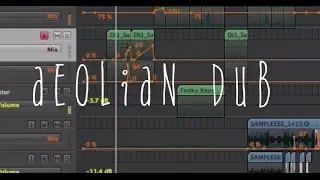 Anuah - AEOLIAN DUB (by Joan Orench) *Reggae Handpan!
