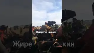Жирейтко чиркин ат!🔥🔥🔥