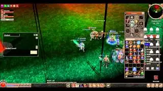 Metin2 SG - King Life
