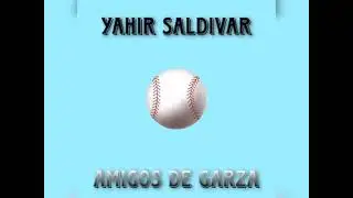 Amigos De Garza ( Corrido )