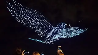 ШОУ ДРОНОВ в 4K