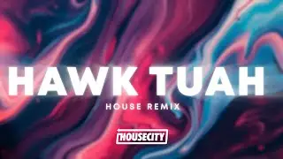 Hawk Tuah (Spit On That Thang) - House Remix (Viral Meme)