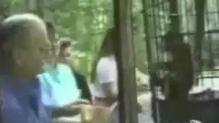 215animal robbery road 's collection funniest video