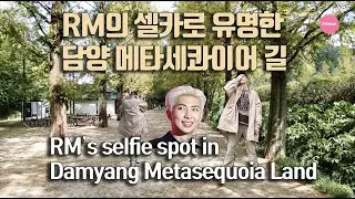 BTS RM(남준)의 셀카 명소 담양 메타세콰이어길 / RM's selfie spot Dam yang Metasequoia land